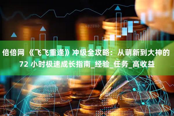 倍倍网 《飞飞重逢》冲级全攻略：从萌新到大神的 72 小时极速成长指南_经验_任务_高收益