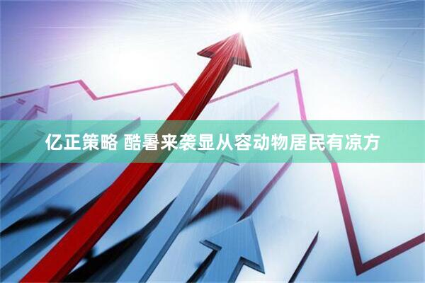 亿正策略 酷暑来袭显从容动物居民有凉方