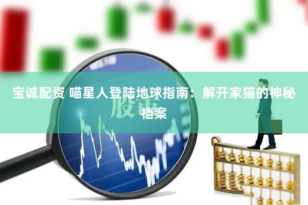 宝诚配资 喵星人登陆地球指南：解开家猫的神秘档案
