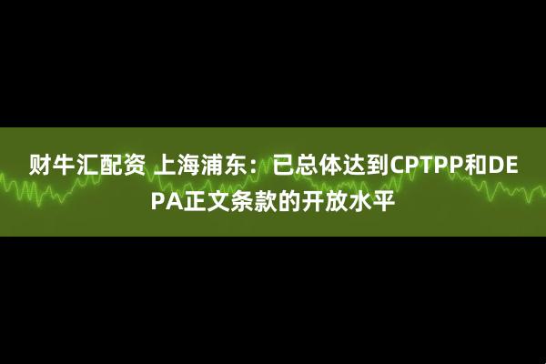 财牛汇配资 上海浦东:已总体达到CPTPP和DEPA正文条款的开放水平