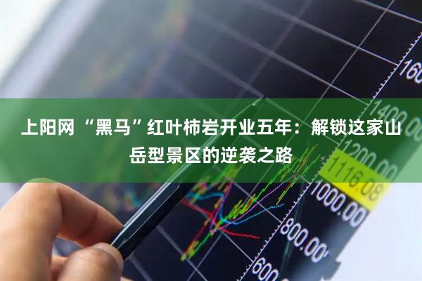 上阳网 “黑马”红叶柿岩开业五年：解锁这家山岳型景区的逆袭之路