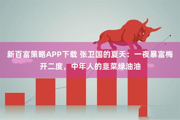 新百富策略APP下载 张卫国的夏天：一夜暴富梅开二度，中年人的韭菜绿油油